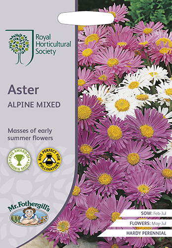 Alppiasteri